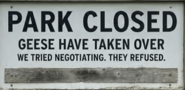 PARK CLOSED GEESE HAVE TAKEN OVER WE TRIED NEGOTIATING. THEY REFUSED.