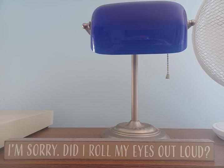 I'M SORRY. DID I ROLL MY EYES OUT LOUD?