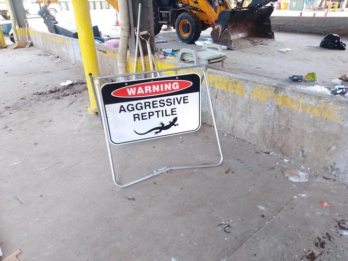 WARNING AGGRESSIVE REPTILE