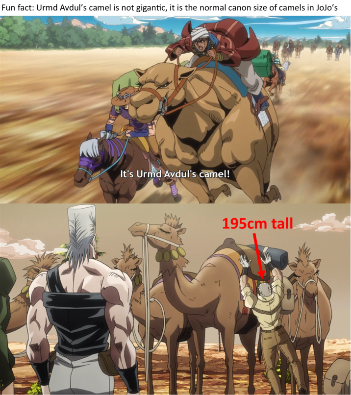 Fun fact: Urmd Avdul's camel is not gigantic, it is the normal canon size of camels in JoJo's It's Urmd Avdul's camel! 195cm tall