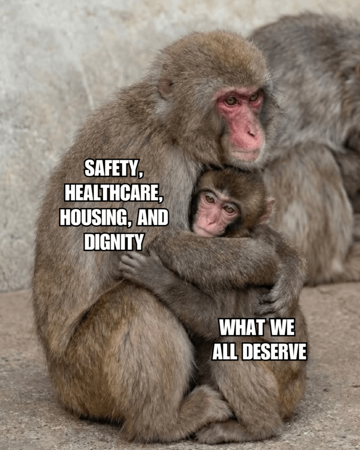SAFETY, HEALTHCARE, HOUSING, AND DIGNITY WHAT WE ALL DESERVE