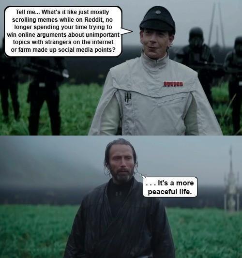 Tell me... What's it like just mostly scrolling memes while on Reddit, no longer spending your time trying to win online arguments about unimportant topics with strangers on the internet or farm made up social media points? ... It's a more peaceful life.