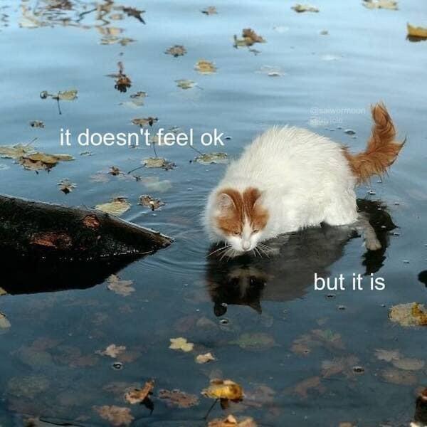 it doesn't feel ok- @salwormoon but it is