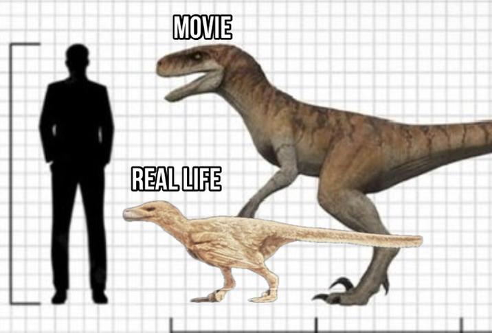 MOVIE REAL LIFE