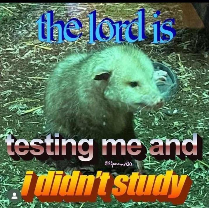 the lord is testing me and @69possums420 i didn't study