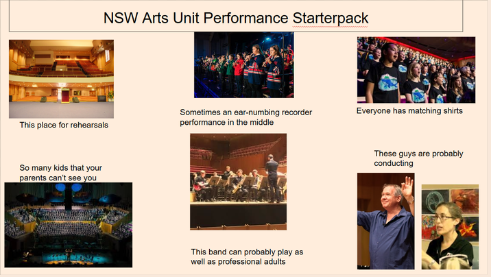 NSW Arts Unit Performance Starterpack This place for rehearsals Sometimes an ear-numbing recorder performance in the middle Everyone has matching shirts So many kids that your parents can't see you This band can probably play as well as professional adults These guys are probably conducting