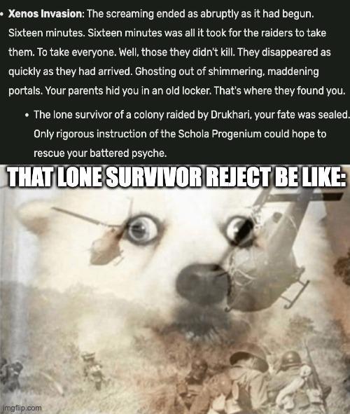 • Xenos Invasion: The screaming ended as abruptly as it had begun. Sixteen minutes. Sixteen minutes was all it took for the raiders to take them. To take everyone. Well, those they didn't kill. They disappeared as quickly as they had arrived. Ghosting out of shimmering, maddening portals. Your parents hid you in an old locker. That's where they found you. • The lone survivor of a colony raided by Drukhari, your fate was sealed. Only rigorous instruction of the Schola Progenium could hope to rescue your battered psyche. THAT LONE SURVIVOR REJECT BE LIKE: Imgflip.com
