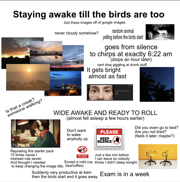 Staying awake till the birds are too Got these images off of google images. never cloudy somehow? iStock Credit: Sydney Linh random animal yelling before the birds start goes from silence to chirps at exactly 6:22 am (stops an hour later) cant stop giggling at dumb stuff It gets bright almost as fast iStock Is that a creak? someone walking? How to Doctor's Gu WIDE AWAKE AND READY TO ROLL (almost fell asleep a few hours earlier) Don't want to wake anybody up PLEASE KEEP SILENCE Did you even go to bed? Are you not tired? (feels it later, maybe?) EPS Reposting this starter pack 10 times cause I misread rule seven And thought I needed No food or drink Except a cold cup to keep changing the image title. (tea/coffee) Just a few min before I can leave so nobody thinks I didn't sleep tonight. Suddenly very productive at 4am then the birds start and it goes away Exam is in a week