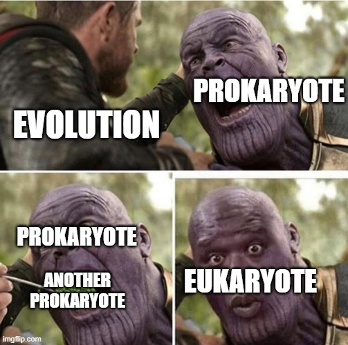 EVOLUTION PROTRYOTE PROKARYOTES ANOTHER PROIRYOTE EUKARYOTE imgflip.com