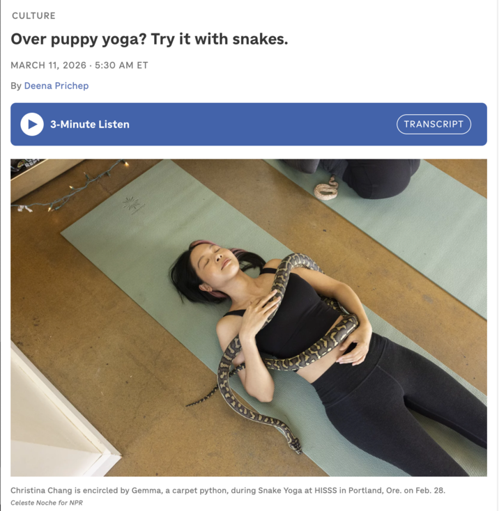 CULTURE Over puppy yoga? Try it with snakes. MARCH 11, 2026 5:30 AM ET By Deena Prichep 3-Minute Listen TRANSCRIPT Christina Chang is encircled by Gemma, a carpet python, during Snake Yoga at HISSS in Portland, Ore. on Feb. 28. Celeste Noche for NPR