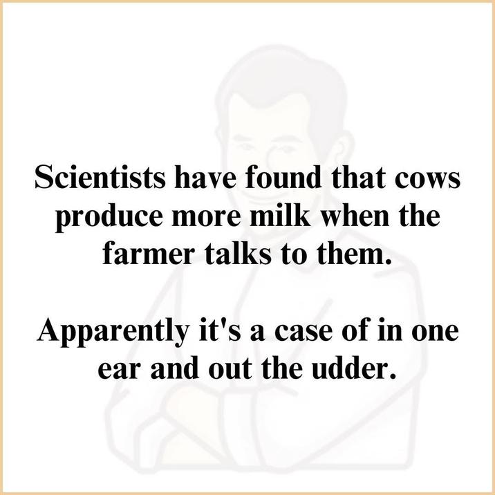 Scientists have found that cows produce more milk when the farmer talks to them. Apparently it's a case of in one ear and out the udder.