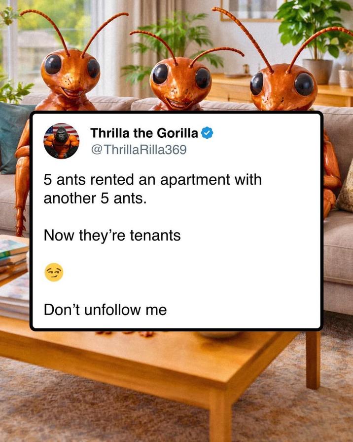 Thrilla the Gorilla @ThrillaRilla369 5 ants rented an apartment with another 5 ants. Now they're tenants Don't unfollow me