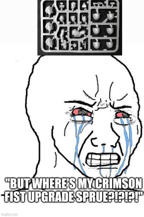 1533 COVEN ملا "BUT WHERE'S MY CRIMSON -FIST UPGRADE SPRUE?!?!?!" imgflip.com