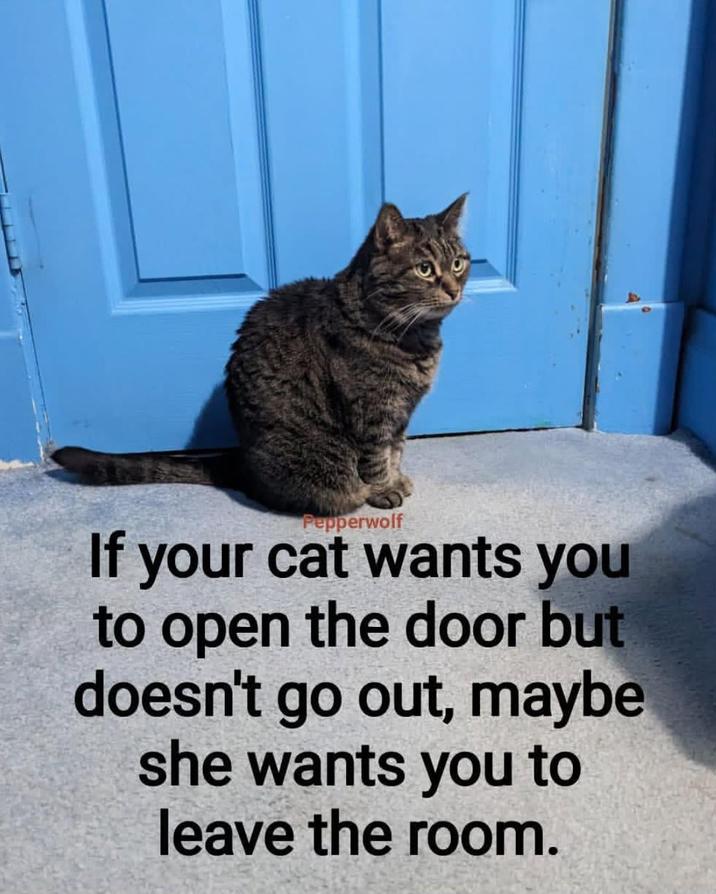 Pepperwolf If your cat wants you to open the door but doesn't go out, maybe she wants you to leave the room.