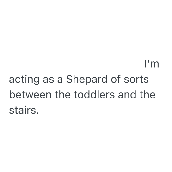 I'm acting as a Shepard of sorts between the toddlers and the stairs.