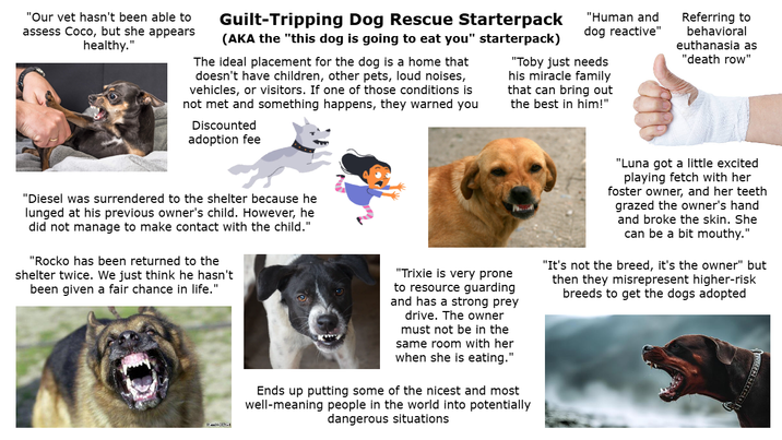 "Our vet hasn't been able to assess Coco, but she appears healthy." Guilt-Tripping Dog Rescue Starterpack (AKA the "this dog is going to eat you" starterpack) The ideal placement for the dog is a home that doesn't have children, other pets, loud noises, vehicles, or visitors. If one of those conditions is not met and something happens, they warned you Discounted adoption fee "Human and dog reactive" "Toby just needs his miracle family that can bring out the best in him!" Referring to behavioral euthanasia as "death row" "Diesel was surrendered to the shelter because he lunged at his previous owner's child. However, he did not manage to make contact with the child." "Rocko has been returned to the shelter twice. We just think he hasn't been given a fair chance in life." "Trixie is very prone to resource guarding and has a strong prey drive. The owner must not be in the same room with her when she is eating." Ends up putting some of the nicest and most well-meaning people in the world into potentially dangerous situations "Luna got a little excited playing fetch with her foster owner, and her teeth grazed the owner's hand and broke the skin. She can be a bit mouthy." "It's not the breed, it's the owner" but then they misrepresent higher-risk breeds to get the dogs adopted
