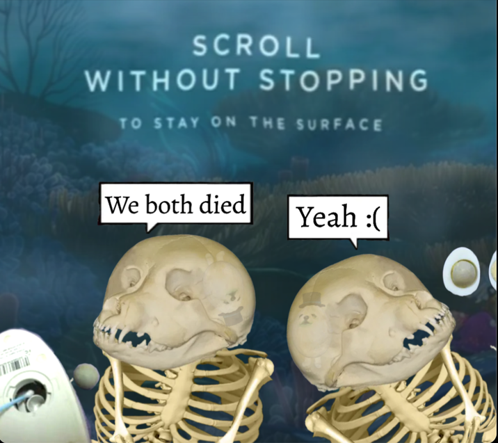 SCROLL WITHOUT STOPPING TO STAY ON THE SURFACE We both died Yeah :(