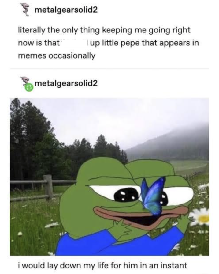 metalgearsolid2 literally the only thing keeping me going right I up little pepe that appears in now is that memes occasionally metalgearsolid2 i would lay down my life for him in an instant