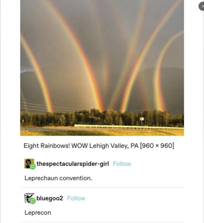 Eight Rainbows! WOW Lehigh Valley, PA [960 × 960] thespectacularspider-girl Follow Leprechaun convention. bluegoo2 Follow Leprecon