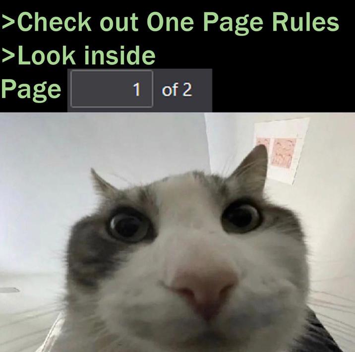 >Check out One Page Rules >Look inside Page 1 of 2