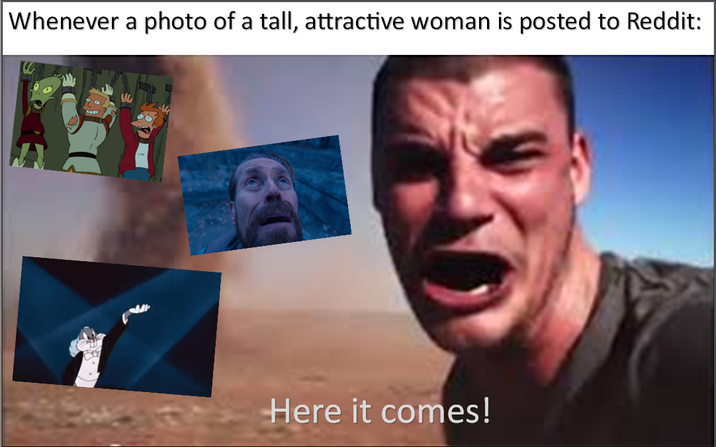 Whenever a photo of a tall, attractive woman is posted to Reddit: Here it comes!