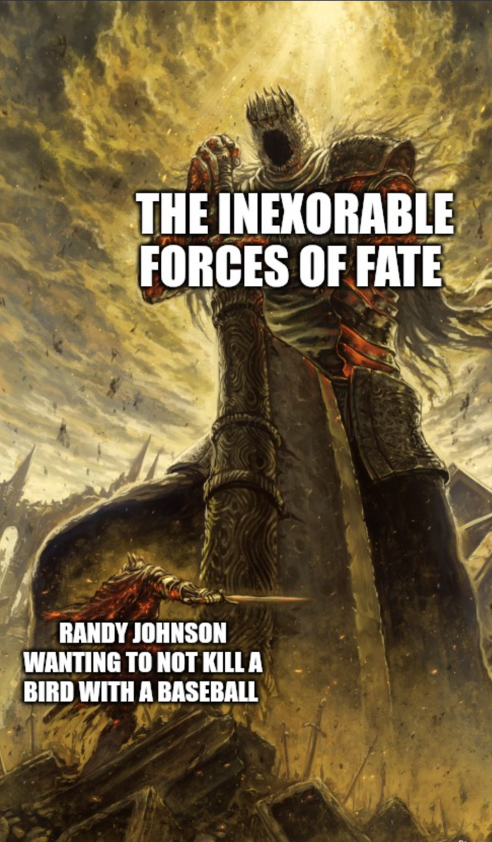 THE INEXORABLE FORCES OF FATE RANDY JOHNSON WANTING TO NOT KILL A BIRD WITH A BASEBALL