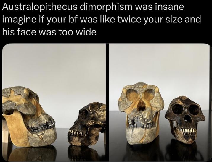 Australopithecus dimorphism was insane imagine if your bf was like twice your size and his face was too wide