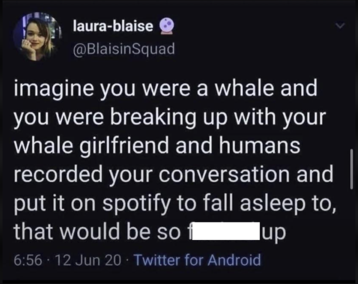 laura-blaise @BlaisinSquad imagine you were a whale and you were breaking up with your whale girlfriend and humans recorded your conversation and put it on spotify to fall asleep to, that would be so 6:56 - 12 Jun 20 - Twitter for Android lup