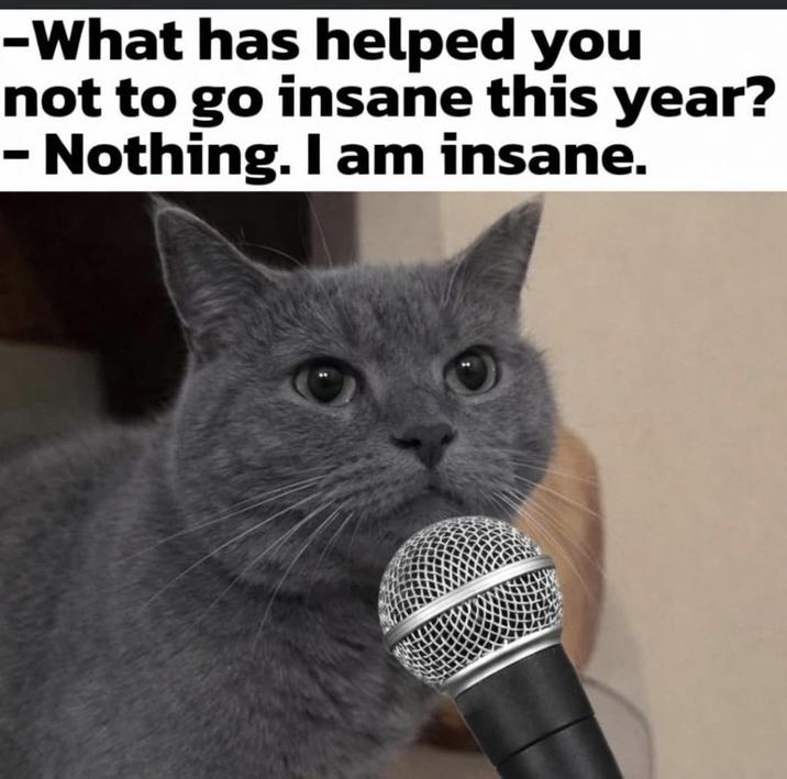 -What has helped you not to go insane this year? - Nothing. I am insane.
