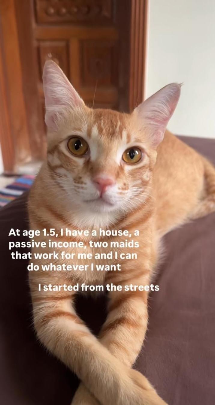 At age 1.5, I have a house, a passive income, two maids that work for me and I can do whatever I want I started from the streets