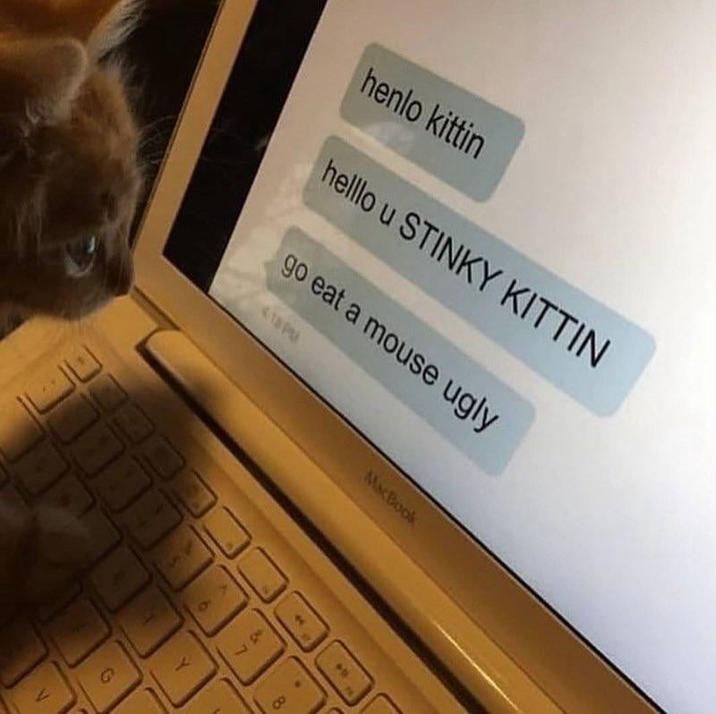 henlo kittin helllo u STINKY KITTIN go eat a mouse ugly G MacBook Y 64