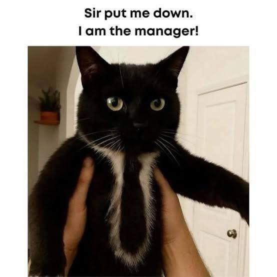 Sir put me down. I am the manager!