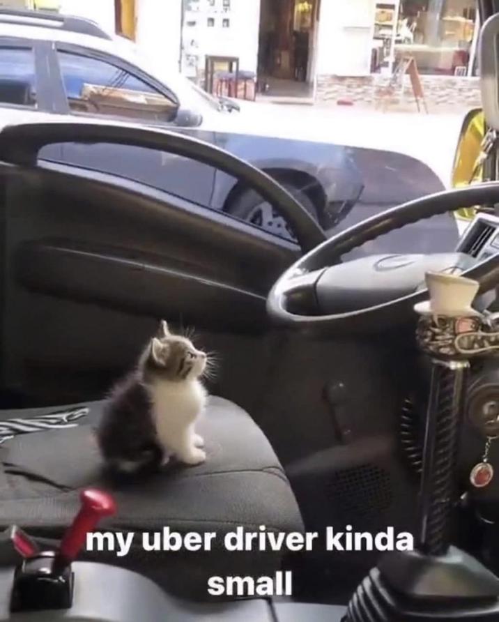 my uber driver kinda small
