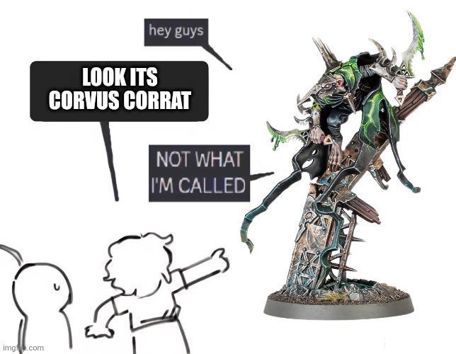 img.com hey guys LOOK ITS CORVUS CORRAT NOT WHAT I'M CALLED