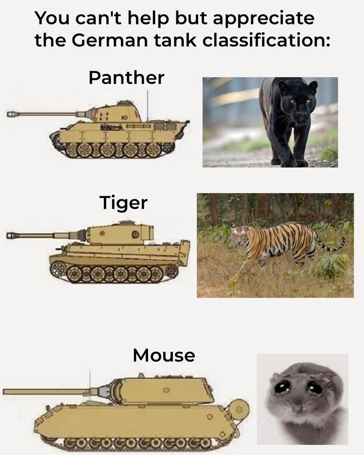 You can't help but appreciate the German tank classification: Panther Tiger Mouse COCOCOCOCO