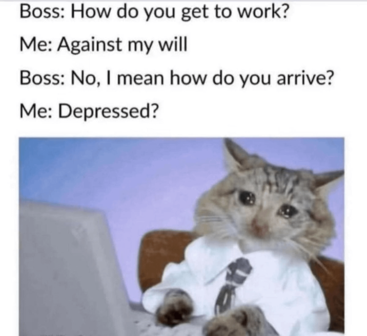 Boss: How do you get to work? Me: Against my will Boss: No, I mean how do you arrive? Me: Depressed?