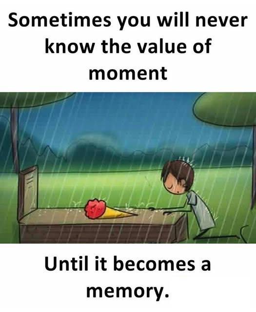 Sometimes you will never know the value of moment Until it becomes a memory.