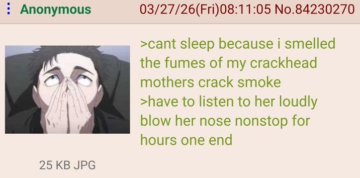 : Anonymous 25 KB JPG 03/27/26(Fri)08:11:05 No.84230270 >cant sleep because i smelled the fumes of my crackhead mothers crack smoke >have to listen to her loudly blow her nose nonstop for hours one end