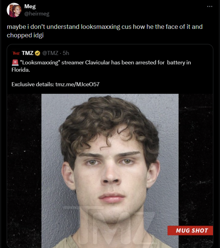 Meg @heirmeg maybe i don't understand looksmaxxing cus how he the face of it and chopped idgi TMZ TMZ⭑@TMZ - 5h "Looksmaxxing" streamer Clavicular has been arrested for battery in Florida. Exclusive details: tmz.me/MJce057 MUG SHOT