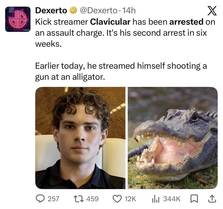 Dexerto ✔@Dexerto 14h X Kick streamer Clavicular has been arrested on an assault charge. It's his second arrest in six weeks. Earlier today, he streamed himself shooting a gun at an alligator. 257 17459 12K Il 344K □ ↑