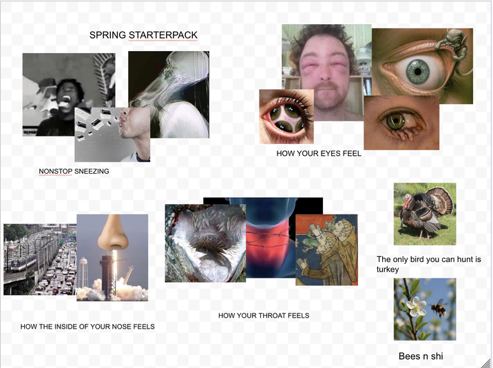 SPRING STARTERPACK indy HOW YOUR EYES FEEL NONSTOP SNEEZING HOW YOUR THROAT FEELS HOW THE INSIDE OF YOUR NOSE FEELS The only bird you can hunt is turkey Bees n shi