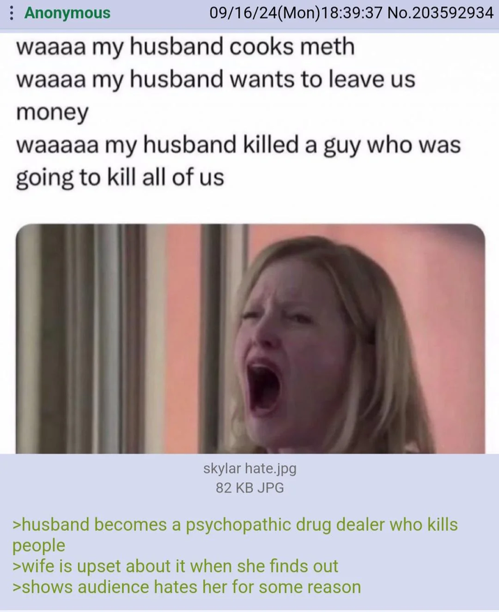 Anonymous 09/16/24(Mon) 18:39:37 No.203592934 waaaa my husband cooks meth waaaa my husband wants to leave us money waaaaa my husband killed a guy who was going to kill all of us skylar hate.jpg 82 KB JPG >husband becomes a psychopathic drug dealer who kills people >wife is upset about it when she finds out >shows audience hates her for some reason