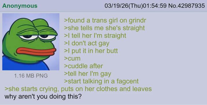 Anonymous 03/19/26(Thu)01:54:59 No.42987935 >found a trans girl on grindr >she tells me she's straight >I tell her I'm straight >I don't act gay >I put it in her butt >c-- >cuddle after 1.16 MB PNG >tell her I'm gay >start talking in a fagcent >she starts crying, puts on her clothes and leaves why aren't you doing this?