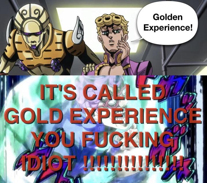 Golden Experience! IT'S CALLEDLA GOLD EXPERIENCE YOU F------ ADIOT !!!!!