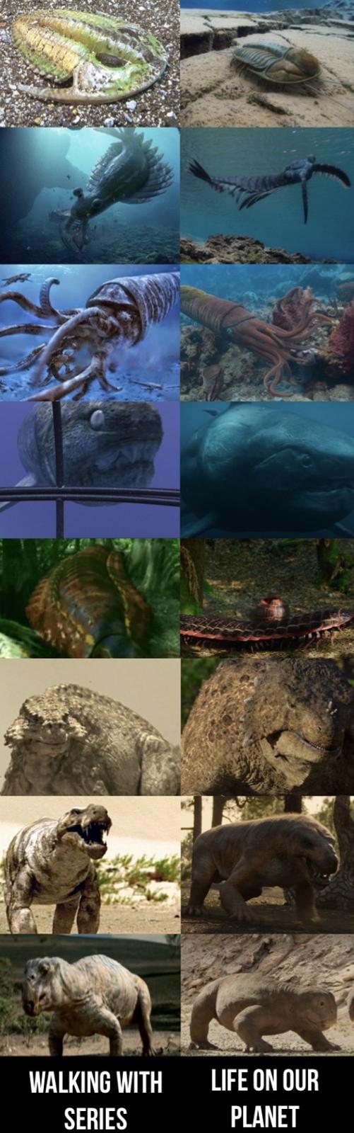 WALKING WITH LIFE ON OUR SERIES PLANET