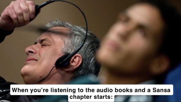 When you're listening to the audio books and a Sansa chapter starts: