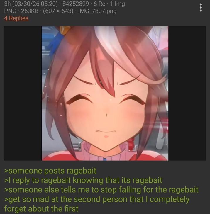 3h (03/30/26 05:20) 84252899 - 6 Re - 1 Img PNG 263KB (607x643) IMG_7807.png 4 Replies >someone posts ragebait >I reply to ragebait knowing that its ragebait >someone else tells me to stop falling for the ragebait >get so mad at the second person that I completely forget about the first