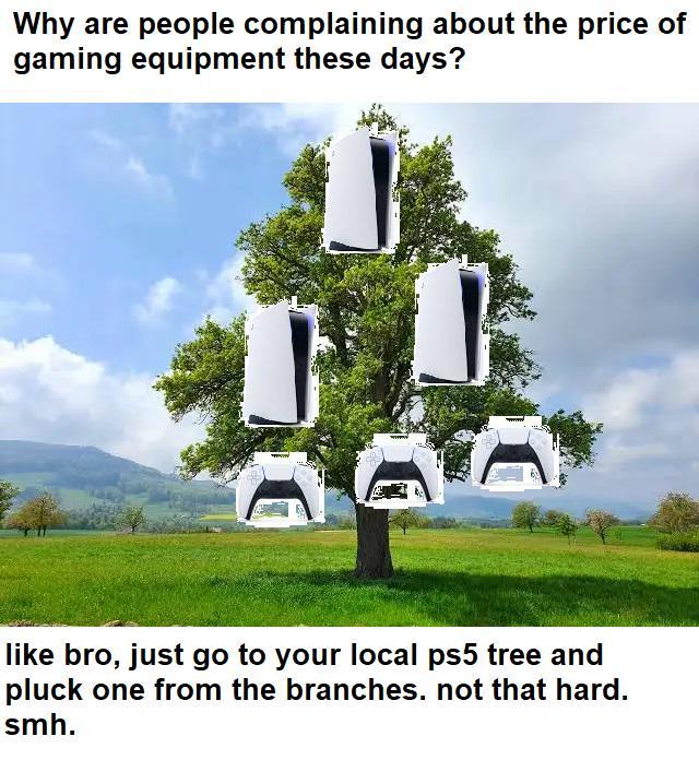 Why are people complaining about the price of gaming equipment these days? like bro, just go to your local ps5 tree and pluck one from the branches. not that hard. smh.