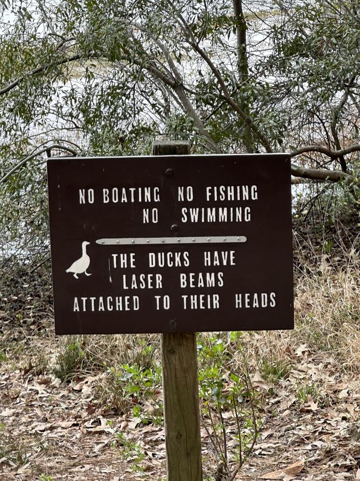 NO BOATING NO NO FISHING SWIMMING THE DUCKS HAVE LASER BEAMS ATTACHED TO THEIR HEADS