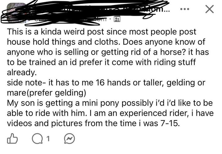 om... This is a kinda weird post since most people post house hold things and cloths. Does anyone know of anyone who is selling or getting rid of a horse? it has. to be trained an id prefer it come with riding stuff already. side note- it has to me 16 hands or taller, gelding or mare (prefer gelding) My son is getting a mini pony possibly i'd i'd like to be able to ride with him. I am an experienced rider, i have videos and pictures from the time i was 7-15. 1